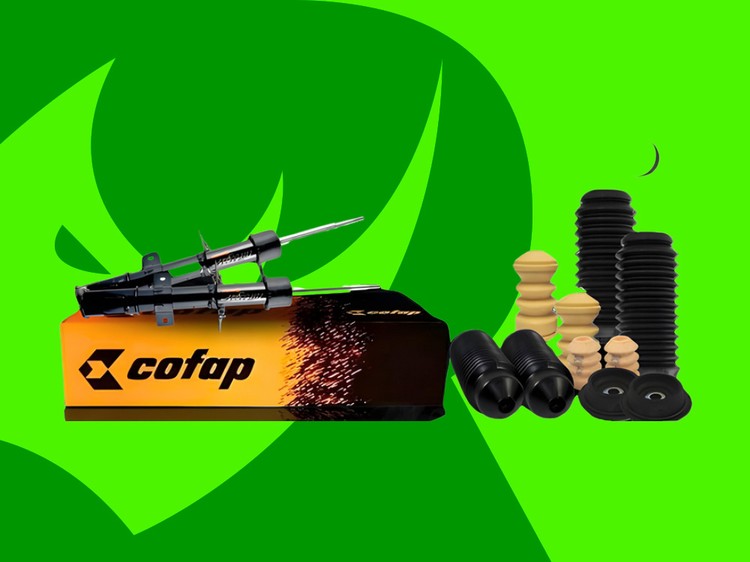 Linha Completa Cofap